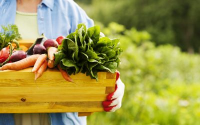 ¿Qué son los alimentos orgánicos y cuáles son sus beneficios para la salud?