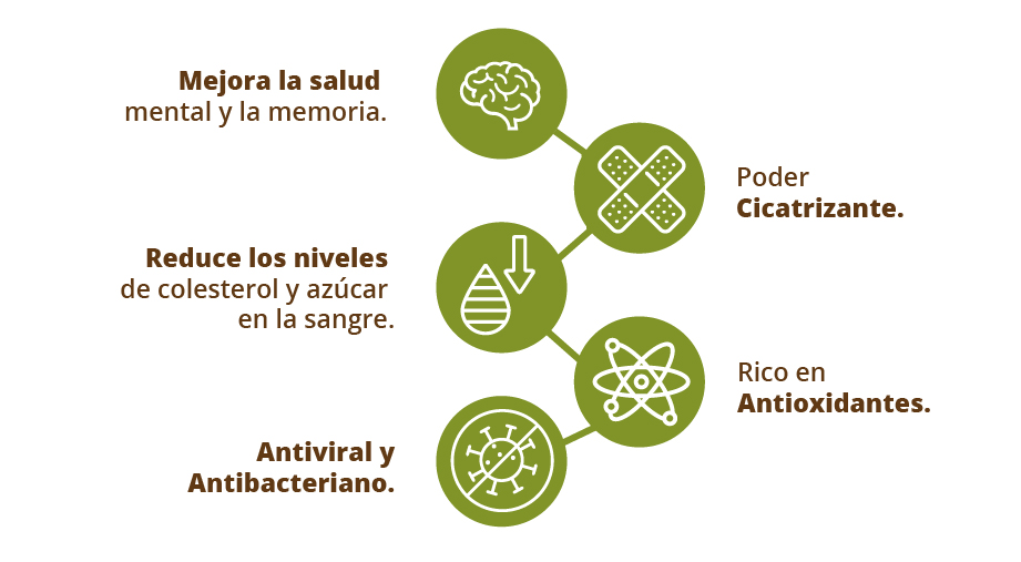 cocomá beneficios