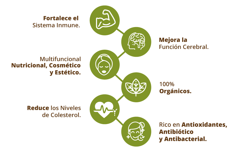 coco-beneficios